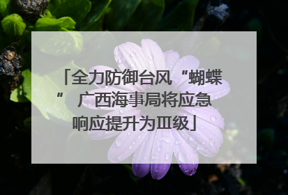 全力防御台风“蝴蝶” 广西海事局将应急响应提升为Ⅲ级