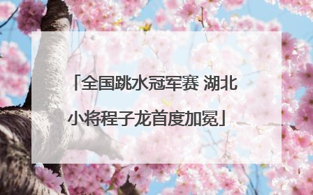 全国跳水冠军赛 湖北小将程子龙首度加冕