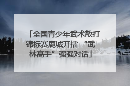 全国青少年武术散打锦标赛鹿城开擂 “武林高手”强强对话