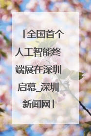 全国首个人工智能终端展在深圳启幕_深圳新闻网