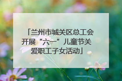 兰州市城关区总工会开展“六一”儿童节关爱职工子女活动