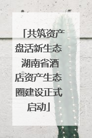 共筑资产盘活新生态 湖南省酒店资产生态圈建设正式启动