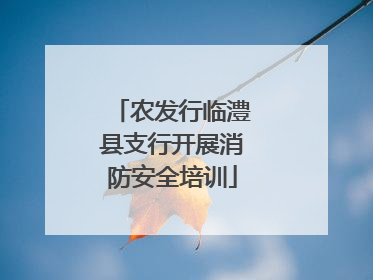 农发行临澧县支行开展消防安全培训