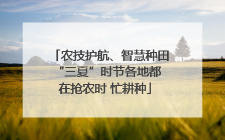 农技护航、智慧种田 “三夏”时节各地都在抢农时 忙耕种