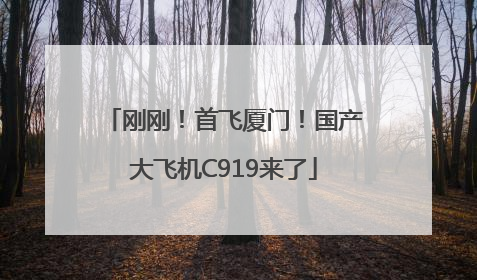 刚刚！首飞厦门！国产大飞机C919来了