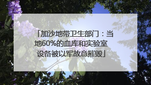 加沙地带卫生部门：当地60%的血库和实验室设备被以军故意摧毁