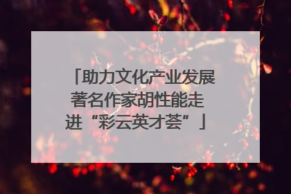 助力文化产业发展 著名作家胡性能走进“彩云英才荟”