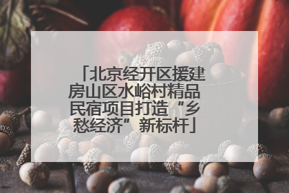 北京经开区援建房山区水峪村精品民宿项目打造“乡愁经济”新标杆