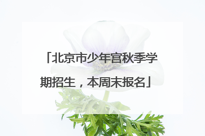 北京市少年宫秋季学期招生，本周末报名