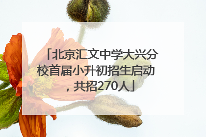北京汇文中学大兴分校首届小升初招生启动，共招270人