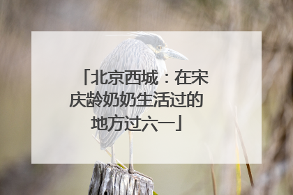 北京西城：在宋庆龄奶奶生活过的地方过六一