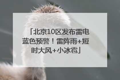 北京10区发布雷电蓝色预警！雷阵雨+短时大风+小冰雹