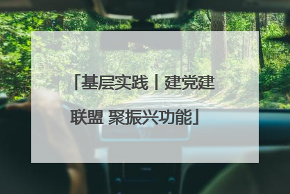 基层实践丨建党建联盟 聚振兴功能