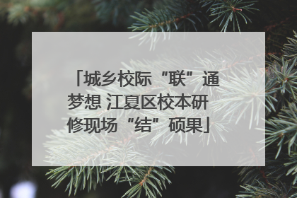 城乡校际“联”通梦想 江夏区校本研修现场“结”硕果