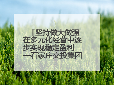 坚持做大做强 在多元化经营中逐步实现稳定盈利——石家庄交投集团做优做强典型报道之三