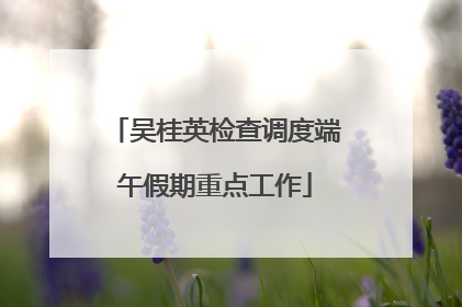 吴桂英检查调度端午假期重点工作