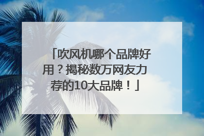 吹风机哪个品牌好用？揭秘数万网友力荐的10大品牌！