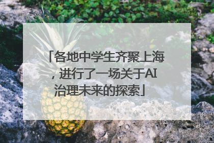 各地中学生齐聚上海，进行了一场关于AI治理未来的探索