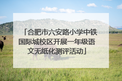 合肥市六安路小学中铁国际城校区开展一年级语文无纸化测评活动
