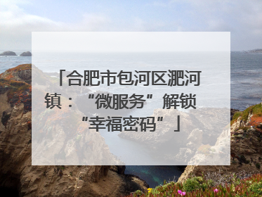 合肥市包河区淝河镇：“微服务”解锁“幸福密码”