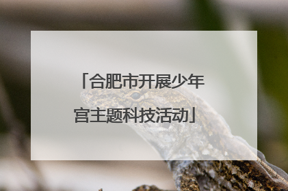 合肥市开展少年宫主题科技活动