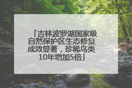 吉林波罗湖国家级自然保护区生态修复成效显著，珍稀鸟类10年增加5倍