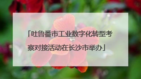 吐鲁番市工业数字化转型考察对接活动在长沙市举办