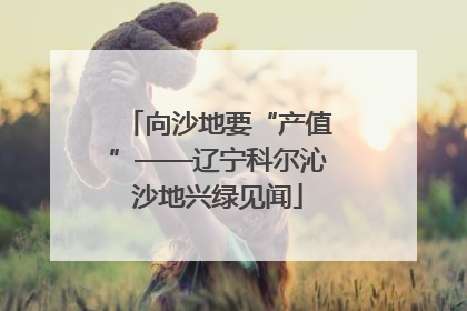 向沙地要“产值”——辽宁科尔沁沙地兴绿见闻