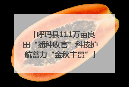 呼玛县111万亩良田“播种收官”科技护航蓄力“金秋丰景”