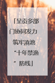 呈贡多部门协同发力 筑牢滇池“十年禁渔”防线