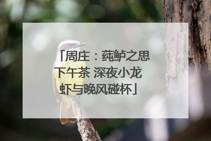 周庄：莼鲈之思下午茶 深夜小龙虾与晚风碰杯