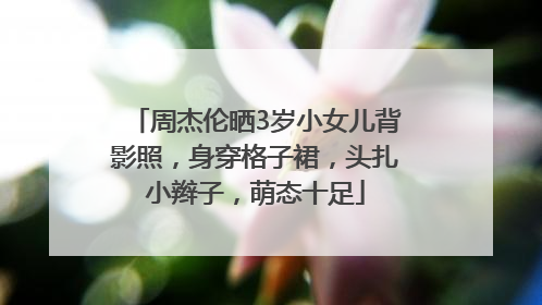 周杰伦晒3岁小女儿背影照，身穿格子裙，头扎小辫子，萌态十足