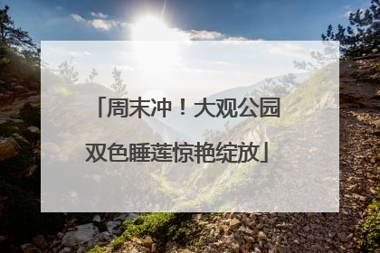 周末冲！大观公园双色睡莲惊艳绽放