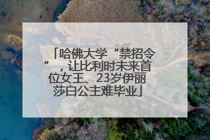 哈佛大学“禁招令”，让比利时未来首位女王、23岁伊丽莎白公主难毕业