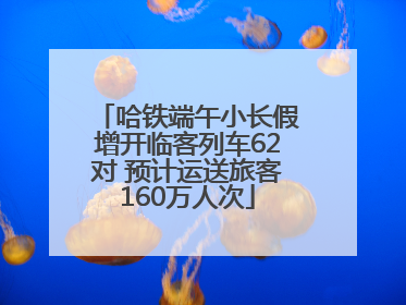 哈铁端午小长假增开临客列车62对 预计运送旅客160万人次