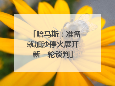 哈马斯：准备就加沙停火展开新一轮谈判
