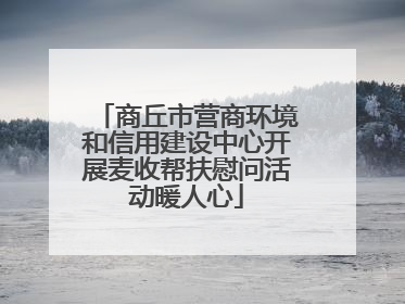 商丘市营商环境和信用建设中心开展麦收帮扶慰问活动暖人心