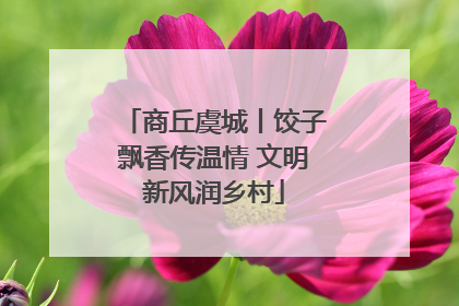 商丘虞城丨饺子飘香传温情 文明新风润乡村