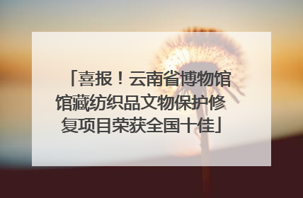 喜报！云南省博物馆馆藏纺织品文物保护修复项目荣获全国十佳