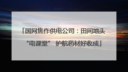 国网焦作供电公司：田间地头“电课堂” 护航药材好收成