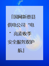 国网新蔡县供电公司“电”亮麦收季 安全服务双护航