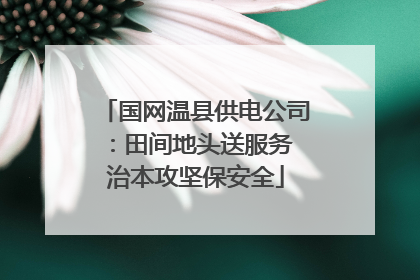 国网温县供电公司：田间地头送服务 治本攻坚保安全