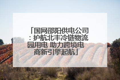国网邵阳供电公司：护航北丰冷链物流园用电 助力跨境电商新引擎起航
