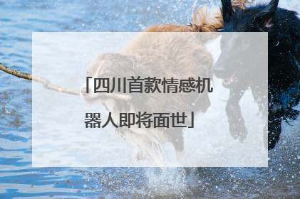 四川首款情感机器人即将面世