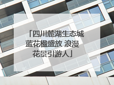 四川麓湖生态城蓝花楹盛放 浪漫花景引游人