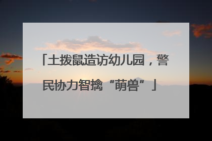 土拨鼠造访幼儿园，警民协力智擒“萌兽”