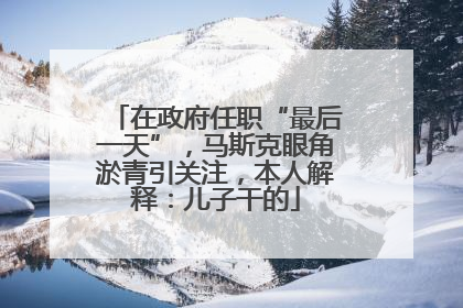在政府任职“最后一天”，马斯克眼角淤青引关注，本人解释：儿子干的