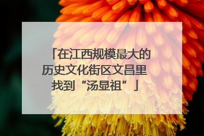 在江西规模最大的历史文化街区文昌里找到“汤显祖”