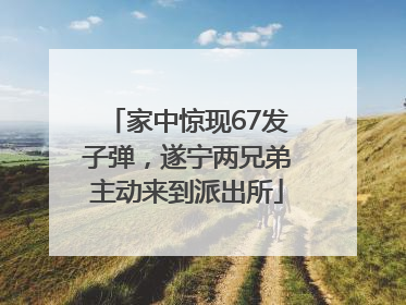 家中惊现67发子弹，遂宁两兄弟主动来到派出所