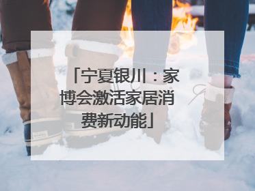 宁夏银川：家博会激活家居消费新动能